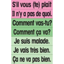 Poster Pals French High-Frequency Vocab Card Set -Toy Store GUEST f46cb131 db00 4431 a4c4 a1b45ceb659c