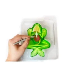 Top Secret Toys Dissect It - Frog Nature Exploration Toy -Toy Store GUEST fa1b4898 4f5a 46a8 9880 25e77103aa5f