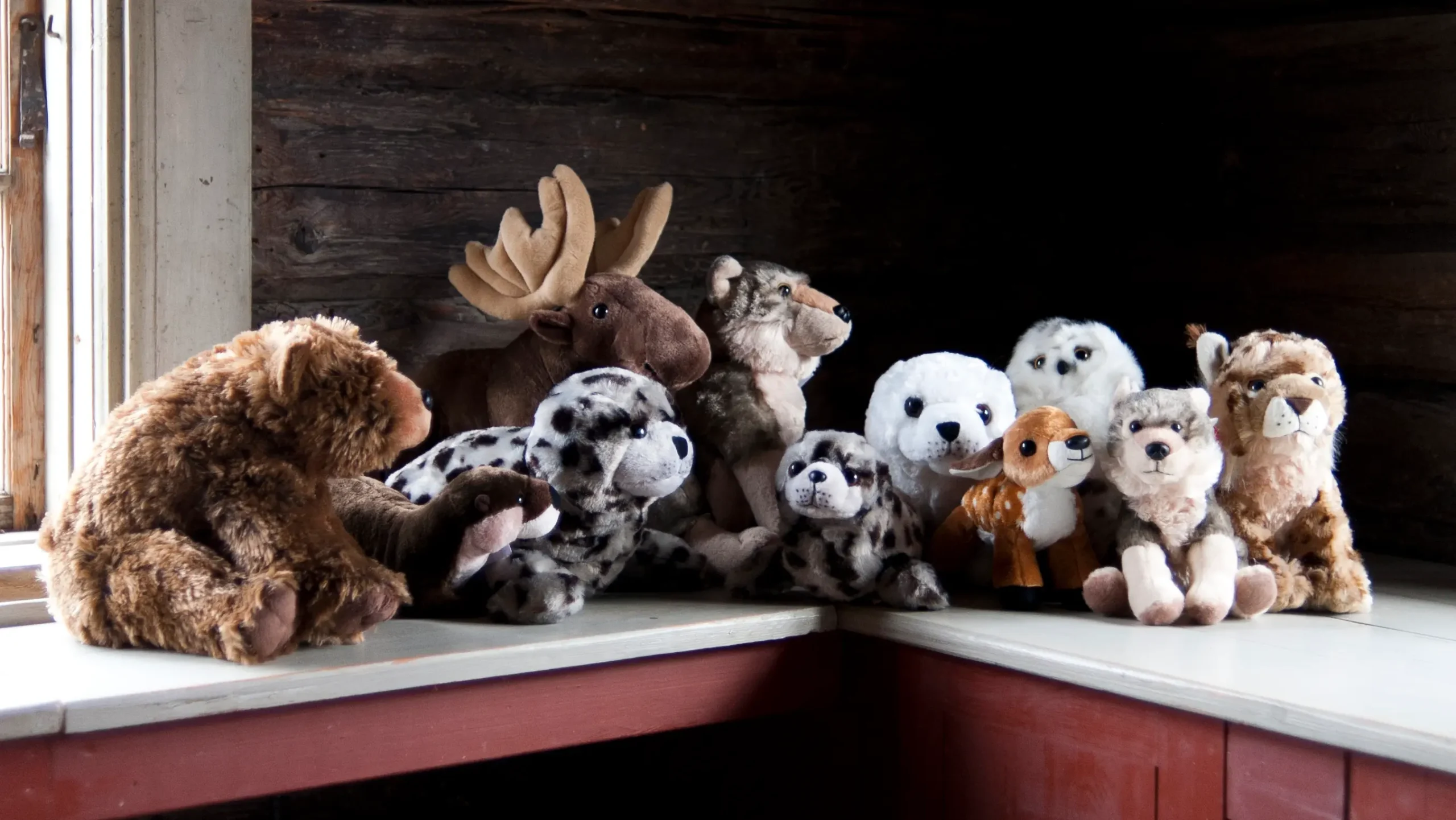 Toy Store -Toy Store wild republic banner scaled